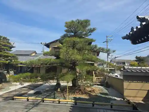 円明寺(和歌山県)