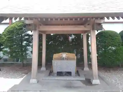 亀田龍神社の手水舎