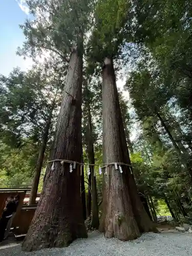 丹生川上神社（中社）(奈良県)
