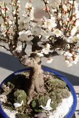 妙蓮寺(神奈川県)