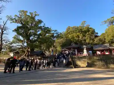 蒲生八幡神社のその他建物