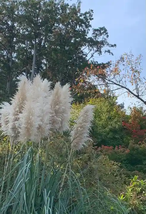 正伝護国禅寺(正伝寺・正傳寺)(京都府)