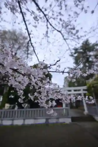 今泉神社(神奈川県)