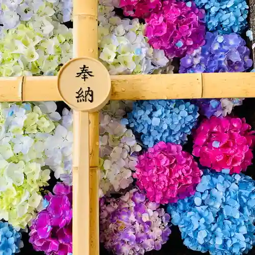 土津神社｜こどもと出世の神さまの手水