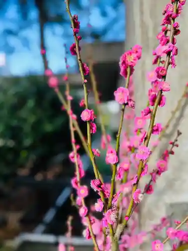 福井神社(福井県)
