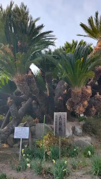 安養院の{uncategorized: "未分類", other: "その他", undefined: "問題あり", building: "その他建物", grave: "お墓", sacred_gate: "鳥居", guardian: "狛犬", statue: "像", buddha: "仏像", history: "歴史", nature: "自然", garden: "庭園", animal: "動物", pagoda: "塔", temizu: "手水舎", mountain_gate: "山門・神門", sanctuary: "本殿・本堂", subordinate: "末社・摂社", art: "芸術", scenery: "景色", jizo: "地蔵", ema: "絵馬", goshuin: "御朱印", omikuji: "おみくじ", items: "授与品その他", amulet: "お守り", goshuincho: "御朱印帳", eats: "食事", festival: "お祭り", votive_dance: "神楽", shichigosan: "七五三参", wedding: "結婚式", experience: "体験その他", initially: "初詣", around: "周辺", anti_infection: "感染症対策"}