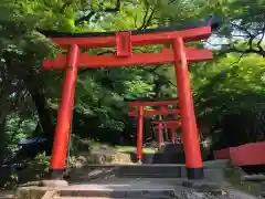 有子山稲荷神社の鳥居