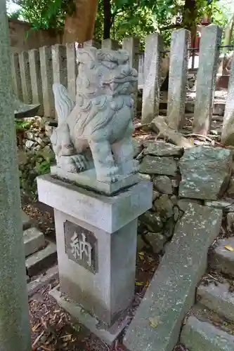 吉田寺の狛犬