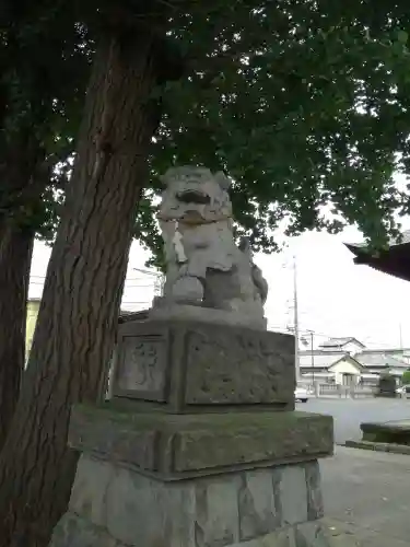 住吉神社の狛犬