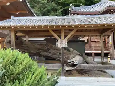 福祥寺（須磨寺）(兵庫県)