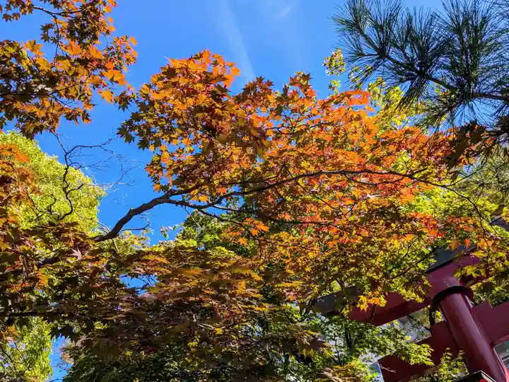 彌彦神社 (伊夜日子神社)の自然