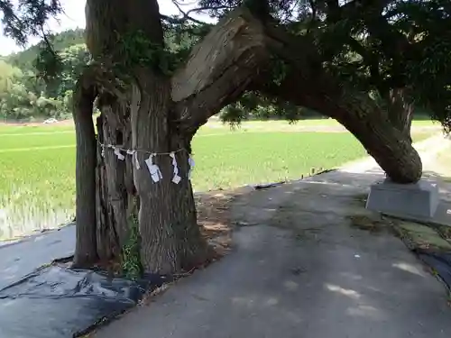 春日神社の建物その他