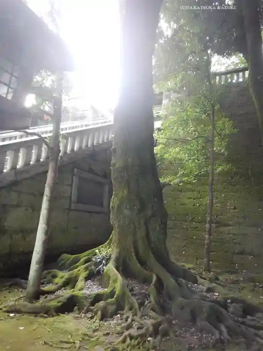宇都宮二荒山神社(栃木県)