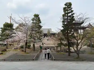 くろ谷 金戒光明寺(京都府)