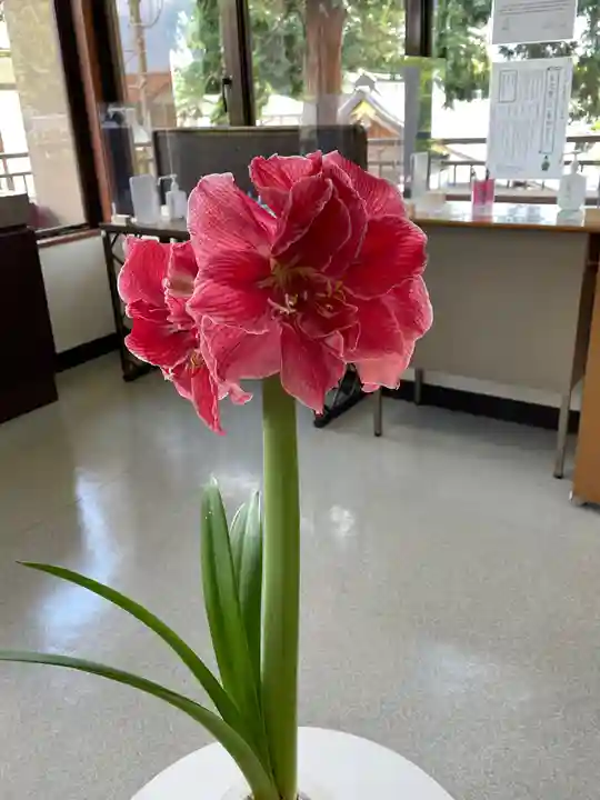 高麗神社のその他建物
