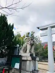 兵庫縣神戸護國神社の狛犬