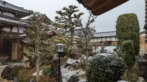 大松禅寺の庭園