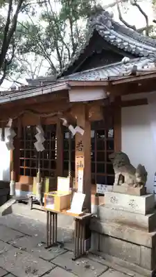 若一神社の本殿・本堂