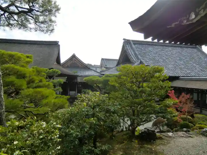仁和寺(京都府)