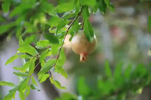 開成山大神宮の庭園