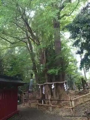 大國魂神社(東京都)