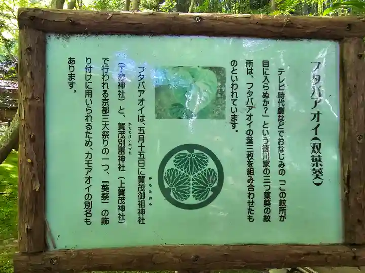 祇王寺(京都府)