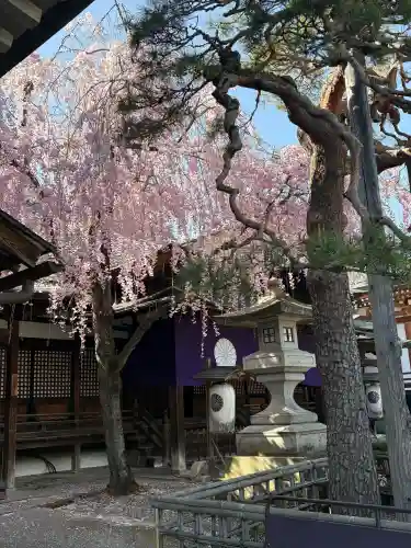 善光寺大本願の{uncategorized: "未分類", other: "その他", undefined: "問題あり", building: "その他建物", grave: "お墓", sacred_gate: "鳥居", guardian: "狛犬", statue: "像", buddha: "仏像", history: "歴史", nature: "自然", garden: "庭園", animal: "動物", pagoda: "塔", temizu: "手水舎", mountain_gate: "山門・神門", sanctuary: "本殿・本堂", subordinate: "末社・摂社", art: "芸術", scenery: "景色", jizo: "地蔵", ema: "絵馬", goshuin: "御朱印", omikuji: "おみくじ", items: "授与品その他", amulet: "お守り", goshuincho: "御朱印帳", eats: "食事", festival: "お祭り", votive_dance: "神楽", shichigosan: "七五三参", wedding: "結婚式", experience: "体験その他", initially: "初詣", around: "周辺", anti_infection: "感染症対策"}