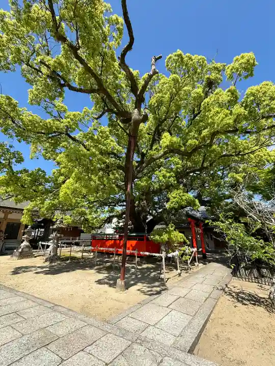 龍田神社(奈良県)