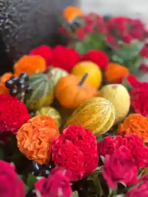 上尾御嶽神社の手水舎