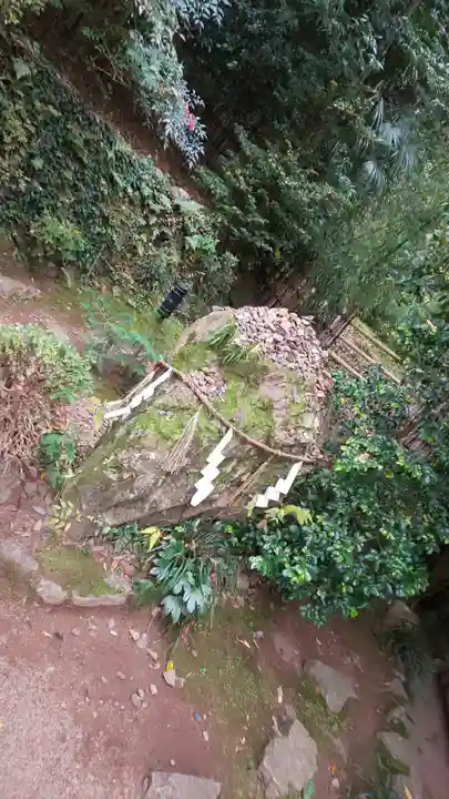 宇治上神社のその他建物