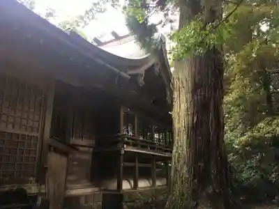越中一宮 髙瀬神社の本殿・本堂