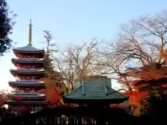 本土寺の塔