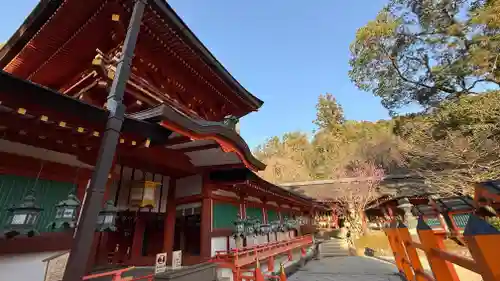 春日大社(奈良県)