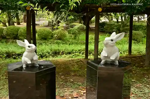 出雲大社の狛犬