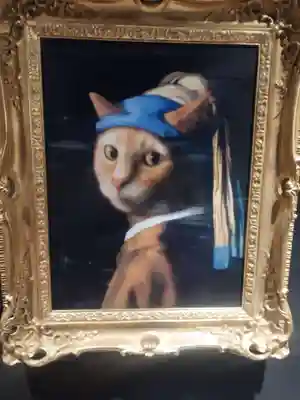 猫猫寺のその他建物