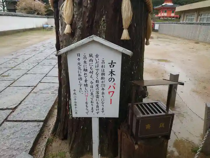 與田寺(香川県)