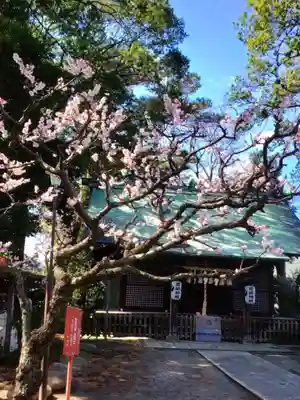 田端神社(東京都)