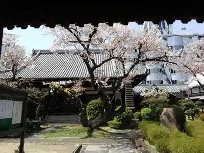 隆専寺のその他建物