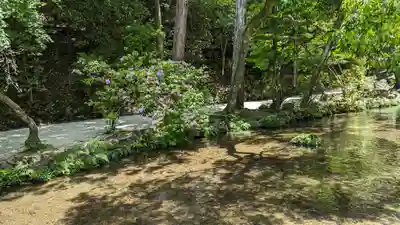 賀茂別雷神社（上賀茂神社）(京都府)