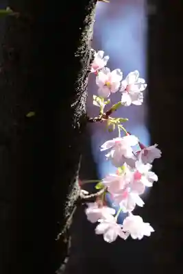 蔵前神社(東京都)