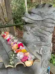 須山浅間神社(静岡県)