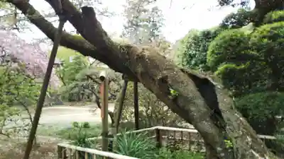 金乘院(千葉県)