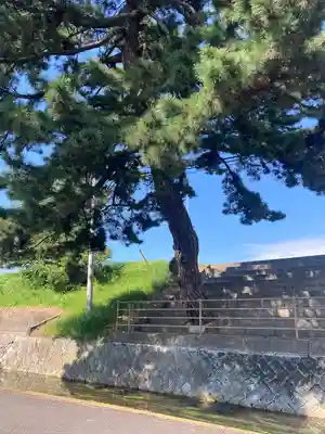 嘉母神社の自然