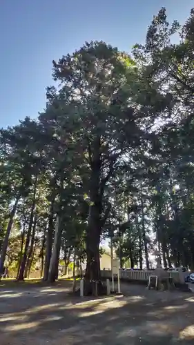 於呂神社の自然