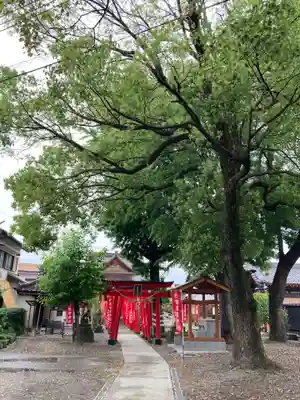 於菊稲荷神社(群馬県)