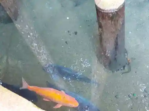 鹿島神宮(茨城県)