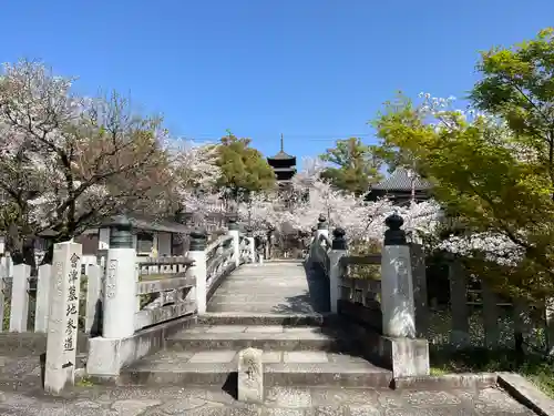 くろ谷 金戒光明寺(京都府)
