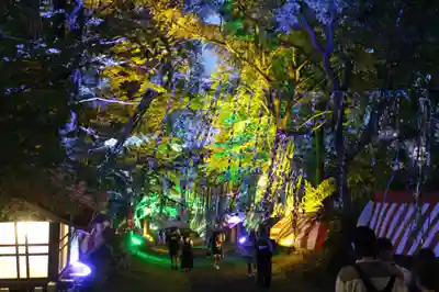 釧路一之宮 厳島神社のお祭り