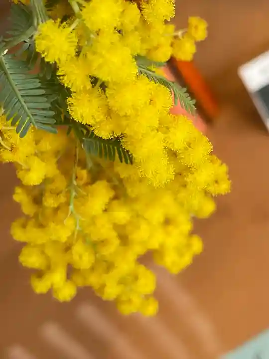 大神神社(奈良県)