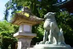 神炊館神社 ⁂奥州須賀川総鎮守⁂の狛犬